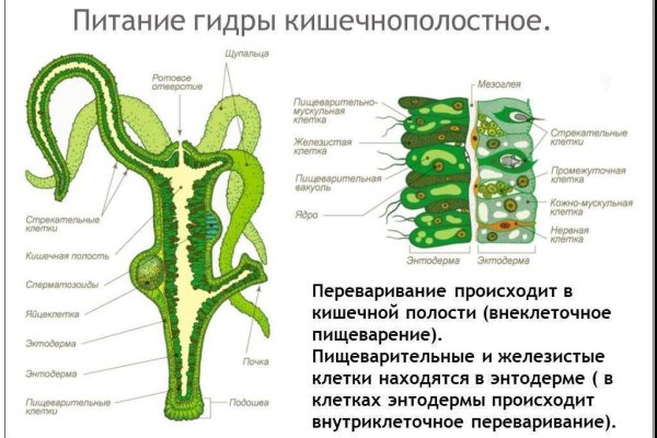 Кракен 17 рабочая ссылка