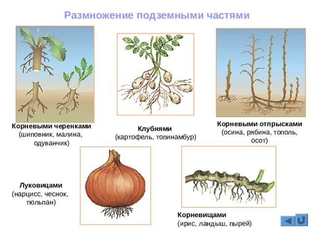 Не входит в кракен пользователь не найден